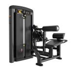 Пресс-машина/разгибание спины Insight Fitness BH35 Пресс-машина/разгибание спины Insight Fitness BH35