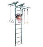 Шведская стенка Midzumi Hoshi Ton Basketball Shield (ментоловый сорбет)