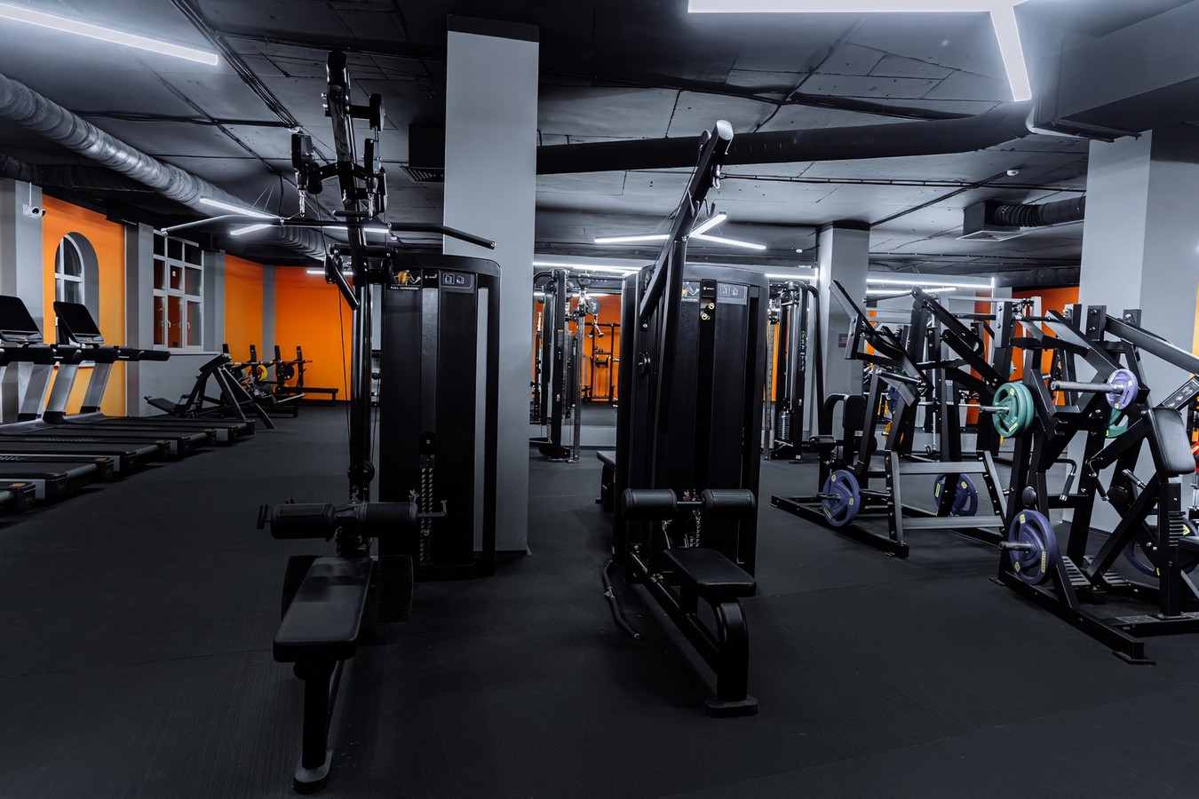 СК PROFITNESS Нижний Новгород СК PROFITNESS Нижний Новгород
