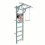 Шведская стенка Midzumi Hoshi Kabe Basketball Shield (ментоловый сорбет)