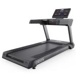 Беговая дорожка DFC ORION T790 PRO