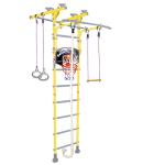 Шведская стенка Midzumi Hoshi Ton Basketball Shield (лимонный пай)