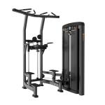 Гравитрон Insight Fitness BH10 Гравитрон Insight Fitness BH10