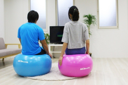 Гимнастический мяч MD Buddy MD1225 55 см