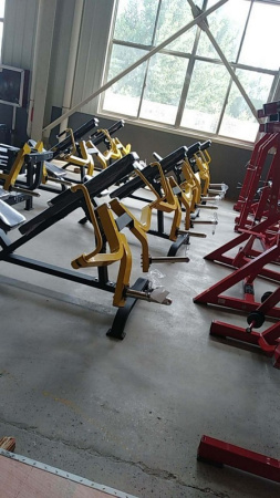 Сведение перед грудью в наклоне Insight Fitness TM56
