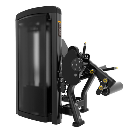 Разгибание ног Insight Fitness BH11