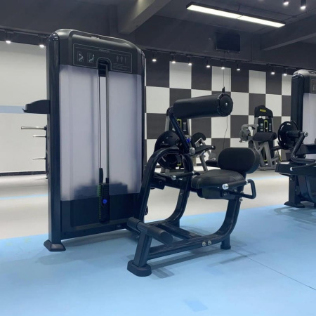 разгибание спины insight fitness tf11 Разгибание спины Insight Fitness TF11