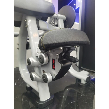 Бицепс/трицепс-машина Insight Fitness TY26