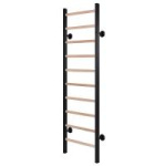 Шведская стенка RS-1GМ