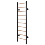 Шведская стенка RS-GB41