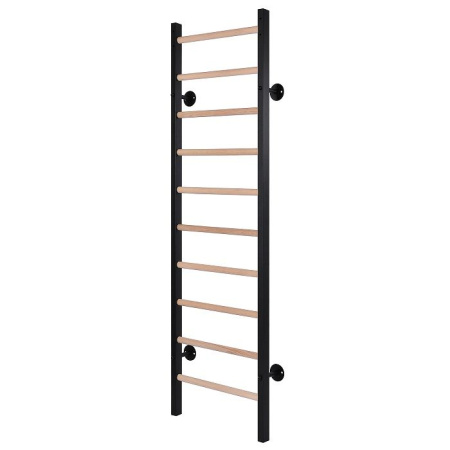 Шведская стенка RS-1GМ