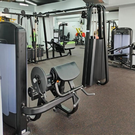 бицепс/трицепс-машина insight fitness tf26 Бицепс/трицепс-машина Insight Fitness TF26