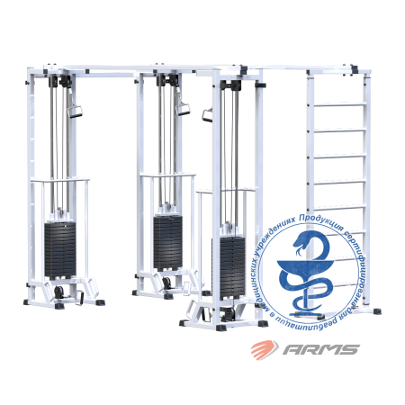 AR087.3х2400 Биотонус-3+шведская стенка (стек 3х75кг)
