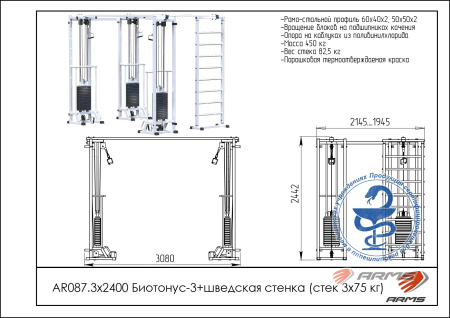 AR087.3х2400 Биотонус-3+шведская стенка (стек 3х75кг)