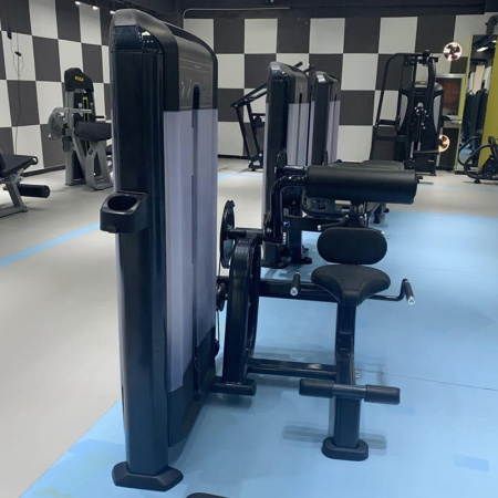 разгибание спины insight fitness tf11 Разгибание спины Insight Fitness TF11