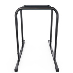 Брусья / хайлетсы DFC