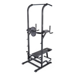 Турник-брусья DFC G-series с прямой скамьей