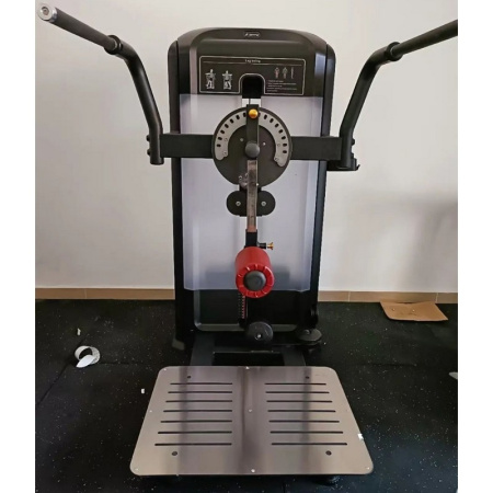 Мультихип Insight Fitness TF32