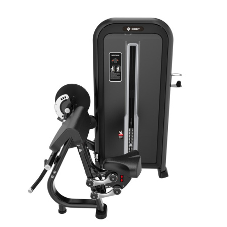 Бицепс/трицепс-машина Insight Fitness TY26