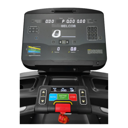 Беговая дорожка CardioPower PRO CT500