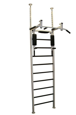 Шведская стенка RS-TR42(White)