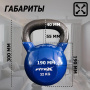Гиря в виниловой оболочке 32 кг FTX2201-32