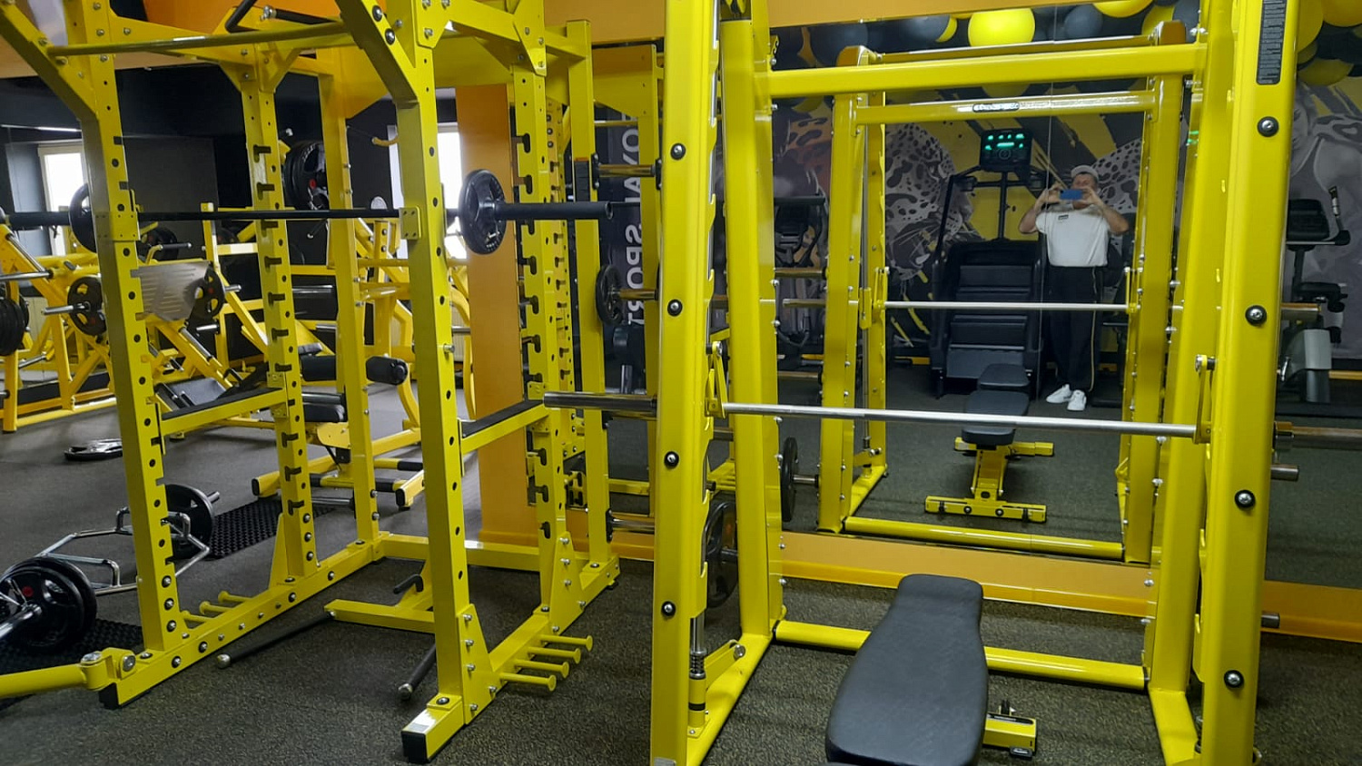 Royal Gym Мелитополь Royal Gym Мелитополь