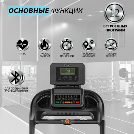 Беговая дорожка "Premier 4 PROF" P-4