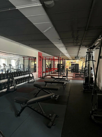 Скамья универсальная Insight Fitness TS213