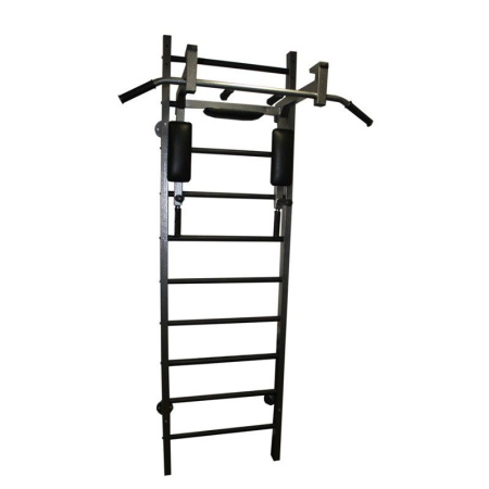 Шведская стенка Russsport RS-T42