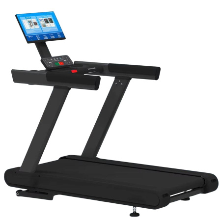 Беговая дорожка Gymmaster LZX-L20T