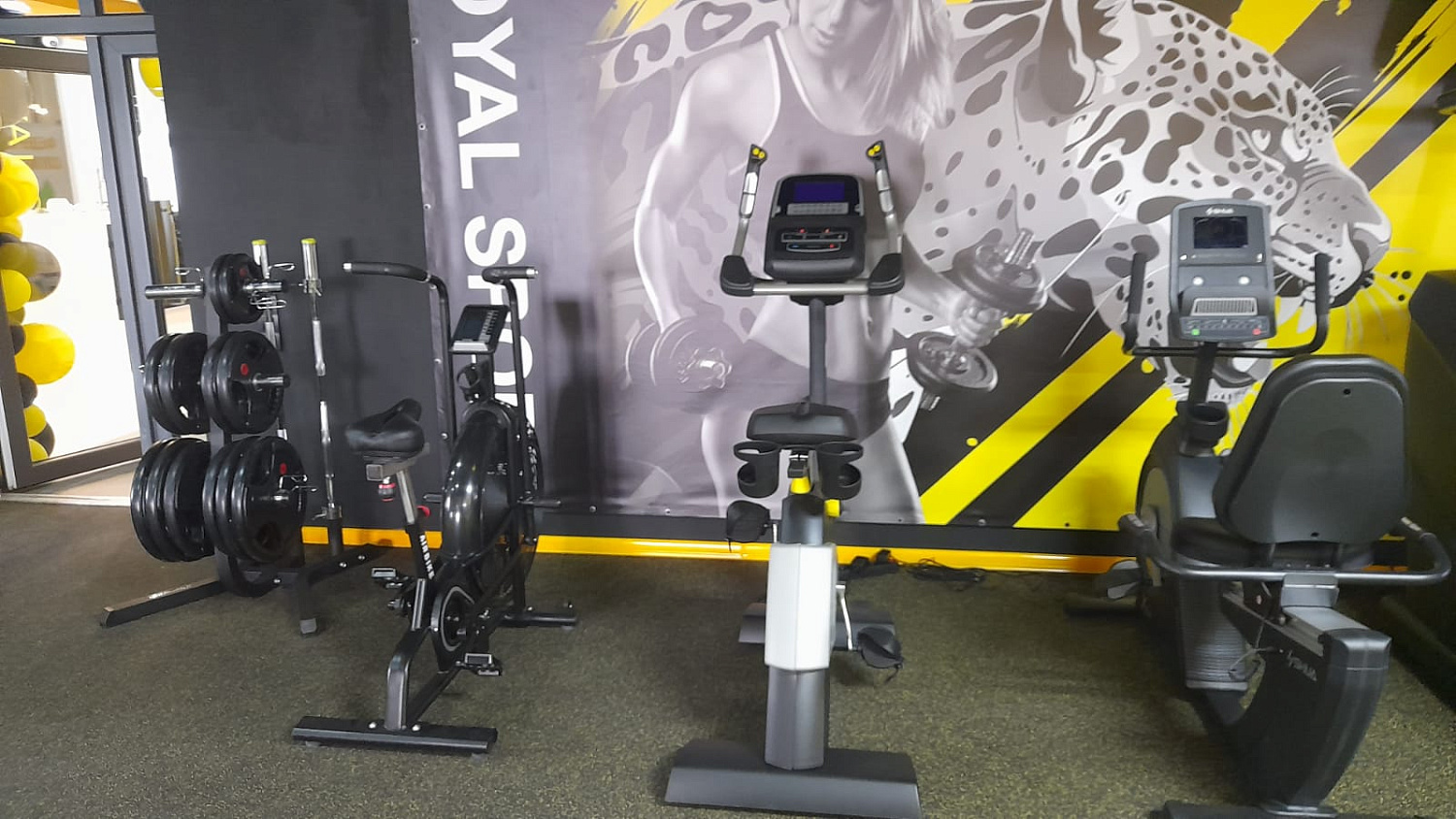 Royal Gym Мелитополь Royal Gym Мелитополь