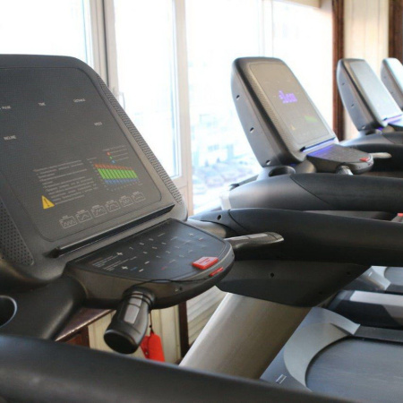 Беговая дорожка SHUA SH-5918