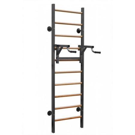 Шведская стенка Russsport RS-GM21