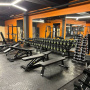 Скамья горизонтальная Insight Fitness TN34