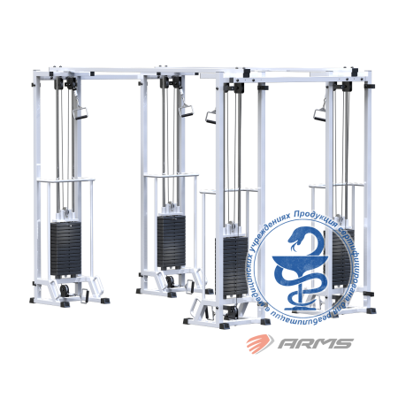 ar089.4х2400 биотонус-4 (стек 4х75 кг) AR089.4х2400 Биотонус-4 (стек 4х75 кг)