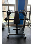 Жим от плеч Insight Fitness TN24