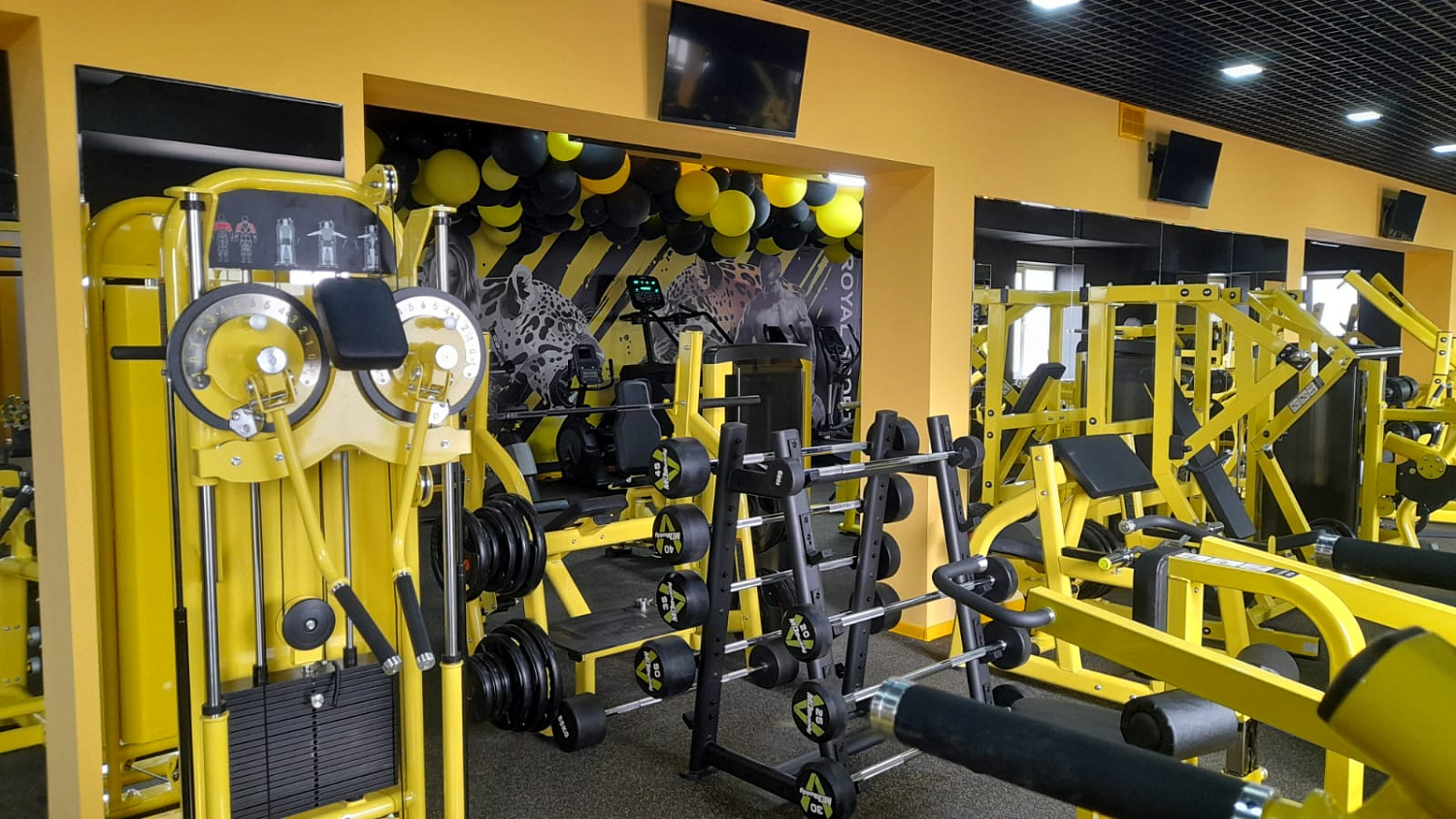 Royal Gym Мелитополь Royal Gym Мелитополь