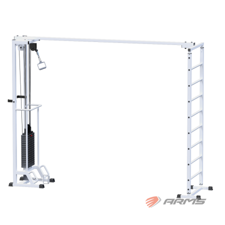 AR087.1х2400 Биотонус + шведская стенка (стек 100 кг)