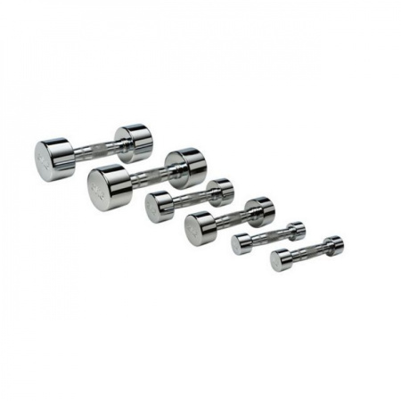 Гантель хромированная MD Buddy MD2303B 1 кг