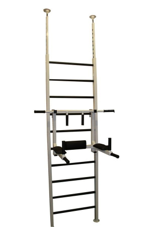 Шведская стенка RS-TR42(White)