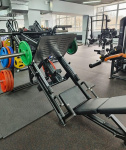 Жим ногами под углом 45 градусов Insight Fitness TN91