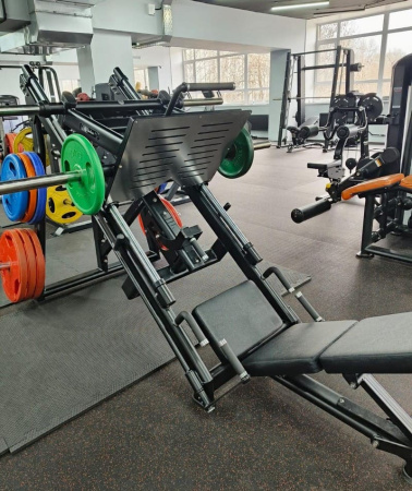 Жим ногами под углом 45 градусов Insight Fitness TN91