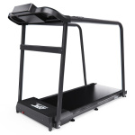 Беговая дорожка DFC Cora T165