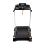 беговая дорожка dfc sparky pro t635 Беговая дорожка DFC SPARKY Pro T635