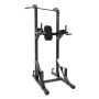 Турник-пресс-брусья Insight Fitness TM100