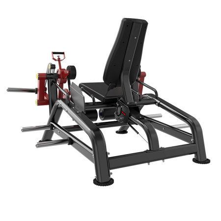 Разгибание ног Insight Fitness BL11