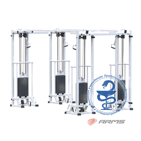 ar089.4х2200 биотонус-4 (стек 4х75 кг) AR089.4х2200 Биотонус-4 (стек 4х75 кг)