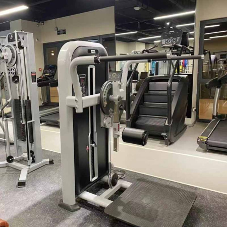Мультихип Insight Fitness TY32