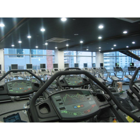 Беговая дорожка DRAX My Mountain MM5050SEP